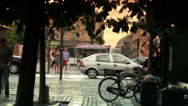 Ruchliwym rogu ulicy w Kopenhadze — Wideo stockowe