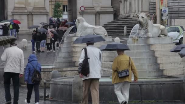 I turisti passeggiano in fontana a Roma — Video Stock