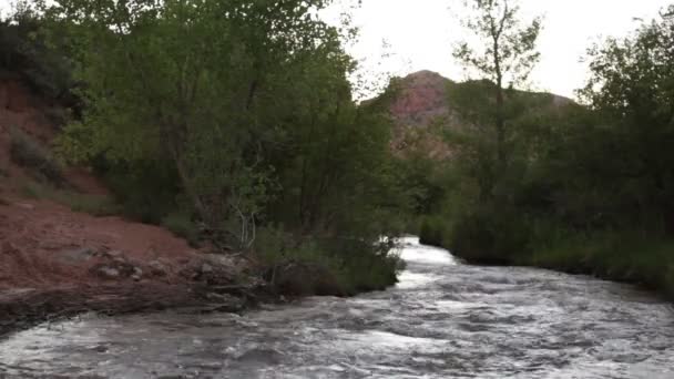 Flussufer mit einem Berg in Moab — Stockvideo