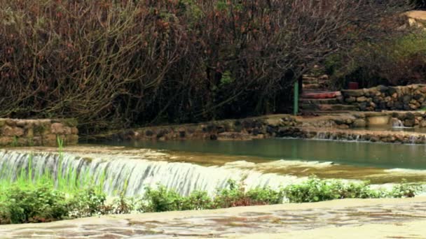 Lizenzfreie Stock-Videoaufnahmen von Banias Frühling in Israel gedreht — Stockvideo