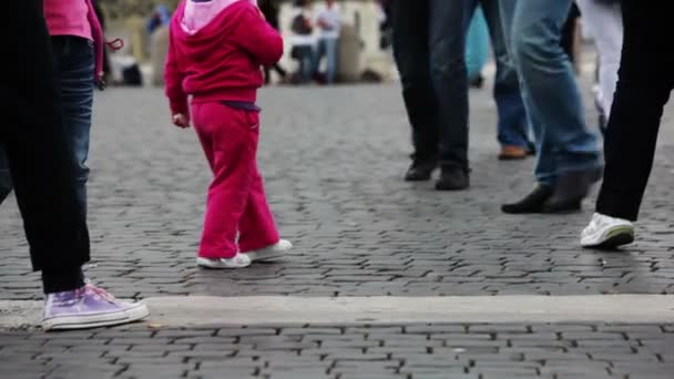 St Peter's Square in Vatican City — Stock Video