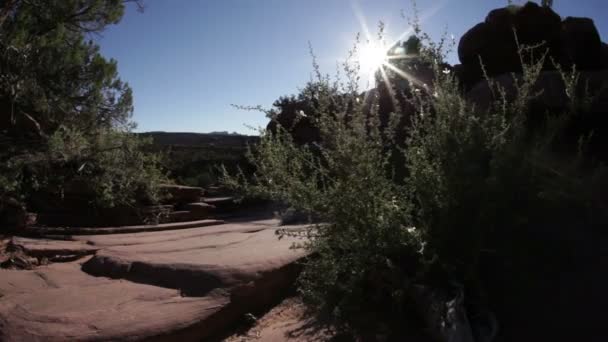 Piękne widoki w Moab — Wideo stockowe