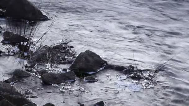 Kleines fließendes Wasser eines Flusses — Stockvideo