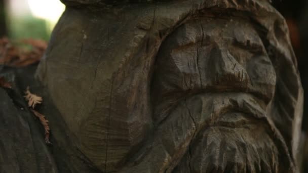 雕刻的胡须的脸 — 图库视频影像