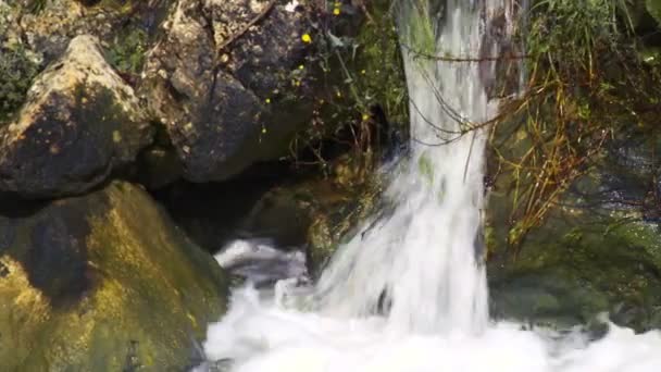 Agua cayendo por las rocas — Vídeo de stock