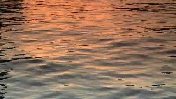 Static shot of rippling water in Copenhagen, Denmark — Stock Video