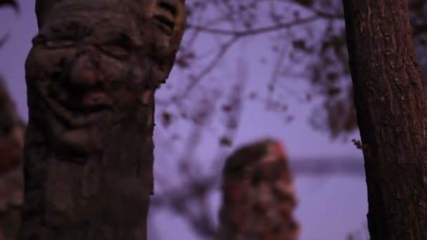 Cara de madeira esculpida em poste por parede de pedra — Vídeo de Stock