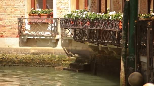 Flower boxes on a canal — Stockvideo