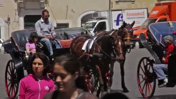 Un caballo y un buggy se detienen en una calle llena de gente y coches en Roma, Italia . — Vídeo de stock