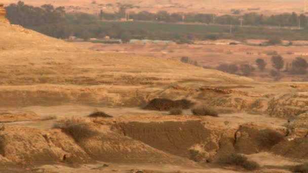 Lizenzfreie Archivvideomaterial einer Wüstenlandschaft in der Abenddämmerung, aufgenommen in Israel — Stockvideo