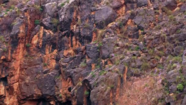 Banias Zona de primavera en Israel — Vídeos de Stock