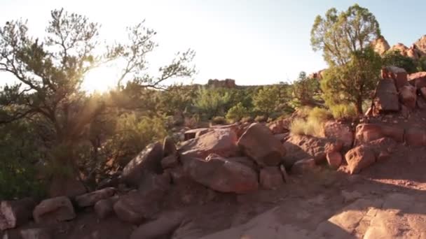 Moab-Landschaft aus dem Fahrzeugfenster — Stockvideo