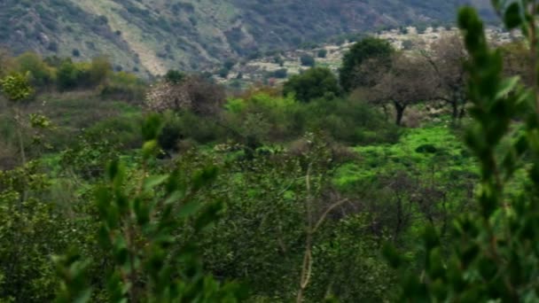 イスラエルでニムロッド要塞の丘の上のストック ビデオ映像のパノラマ撮影 — ストック動画