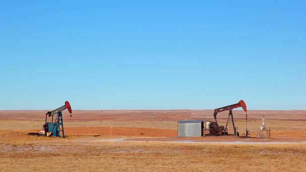 Plataformas de petróleo em Nebraska — Vídeo de Stock