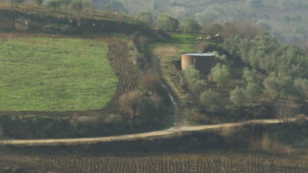 İsrail'de telif ücretsiz stok Video görüntüleri hillside alanlarının vurdu — Stok video