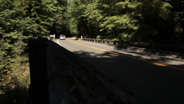 Autos überqueren gekrümmte Waldbrücke — Stockvideo