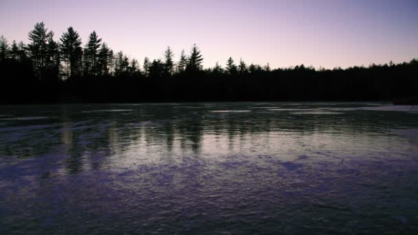 Lake at dusk with silhouetted trees — Stock Video