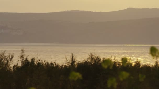 Gele bloemen en de Zee van Galilea bij schemering schot in Israël — Stockvideo