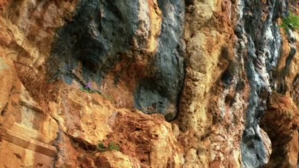 Роялті безкоштовні відео Відеоматеріал різьблені Скеля обличчя в Banias, розстріляний в Ізраїлі — стокове відео
