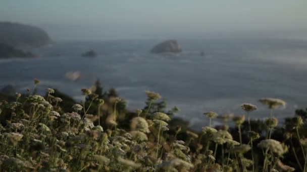 Гірська берегова лінія в Каліфорнії — стокове відео