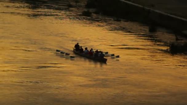 A crew rows down the Tiber River — Stock Video