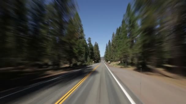 Conduciendo por la carretera recta — Vídeo de stock