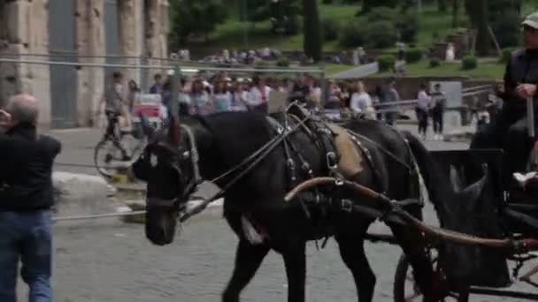 Carruaje de caballos con turistas frente al Coliseo . — Vídeos de Stock