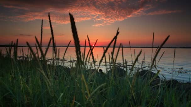 Puesta de sol vista desde una playa en Copenhague, Dinamarca — Vídeos de Stock