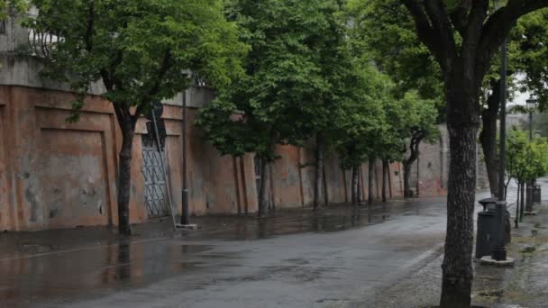 El coche pasa por una calle vacía y húmeda — Vídeos de Stock