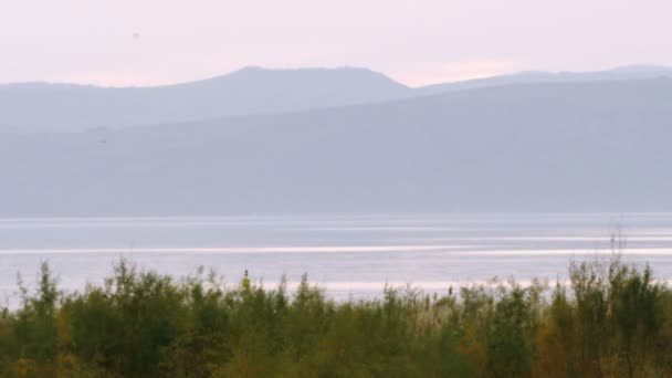 Lizenzfreie Archivvideomaterial vom Ufer des Meeres von Galiläa, aufgenommen in Israel — Stockvideo