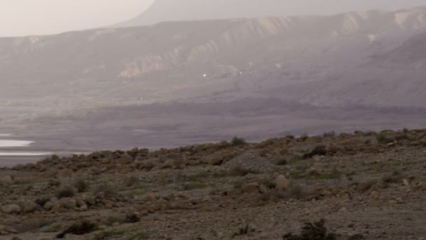 Dimmig döda havet strandlinjen i Israel — Stockvideo