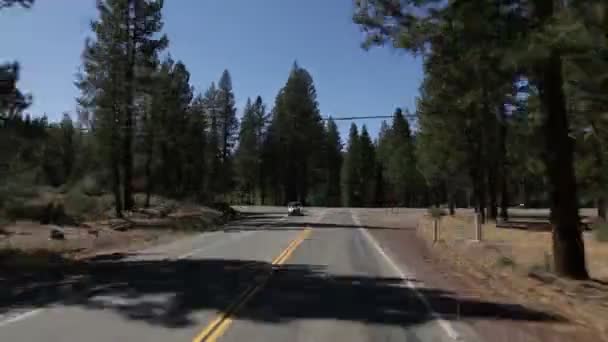 Conduciendo por un camino a través de un bosque . — Vídeos de Stock