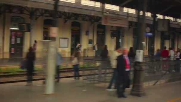 Gente che cammina per Piazza San Pietro — Video Stock