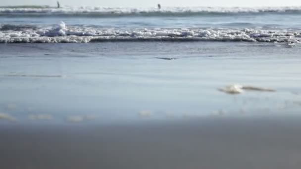 Olas pequeñas que llegan a una playa — Vídeos de Stock