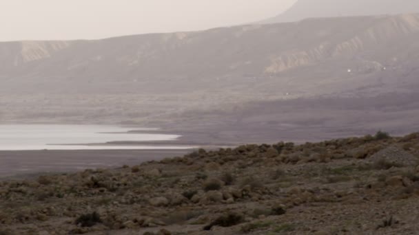 Hazy Garis pantai Laut Mati di Israel — Stok Video