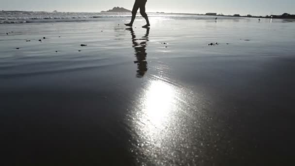 足は海に向かって歩き、振り向く — ストック動画