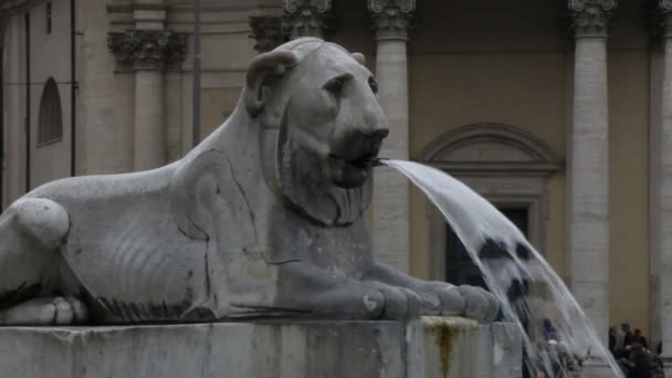 Lion Fountain nära Piazza del Popolo — Stockvideo