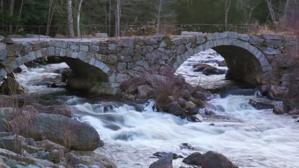 Fluss fließt unter Brücke — Stockvideo