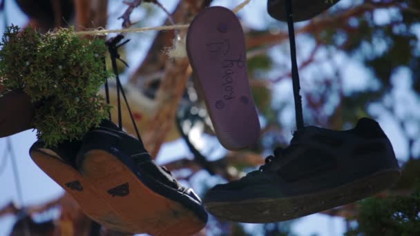 Viele Paar Schuhe hängen an einem Baum — Stockvideo