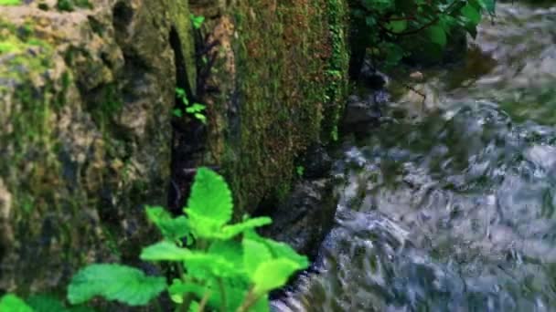 水中跑步之间的岩石 — 图库视频影像