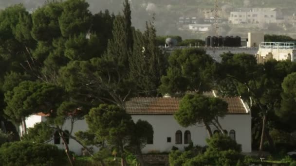 Jerusalem ağaçlar ve İsrail rüzgarda Bayraklarda — Stok video