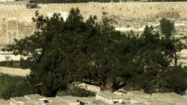 Oude Jeruzalem en de Joodse begraafplaats — Stockvideo