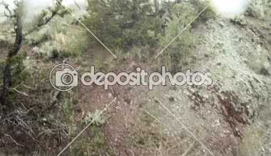 askerler tüfeklerle çalıların arasında çalışan