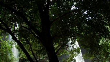 Yeşilliklerle çevrili bir su birikintisi içine bırakarak iki şelaleler.