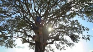 Kenya, Afrika'da ağaçta çocuklarda Bölüm 2.