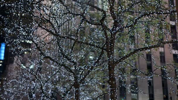 New York Albero di Natale decorato con luci — Video Stock