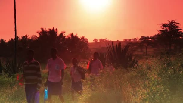 Kenyai tanulócsoport gyalog az iskolába, napkeltekor. — Stock videók