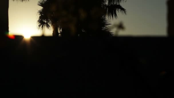 Stijgende schot van zon achter palmbomen — Stockvideo
