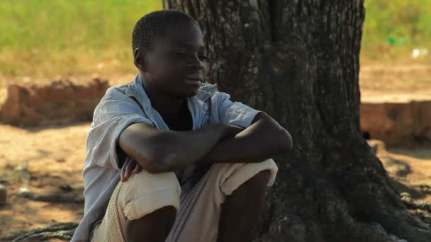 Un garçon assis sous un arbre et pensant — Video