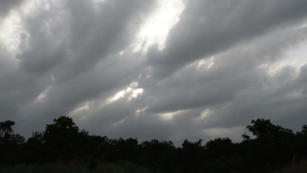 Des nuages orageux traversent le ciel au-dessus d'arbres sombres — Video